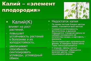 Основные факторы, влияющие на дозировку