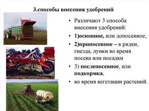 Способы внесения удобрений: гранулы, жидкие, органика