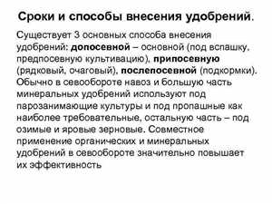 Как правильно вносить удобрения — пошагово