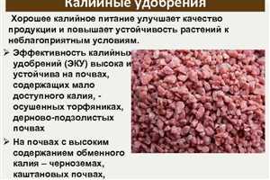 Определение потребности в калии для конкретных культур