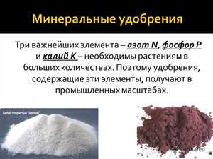 Калийные удобрения и их значение для урожайности