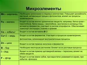 Продукты, богатые цинком: что включить в рацион