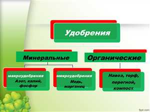 3. Микроэлементы