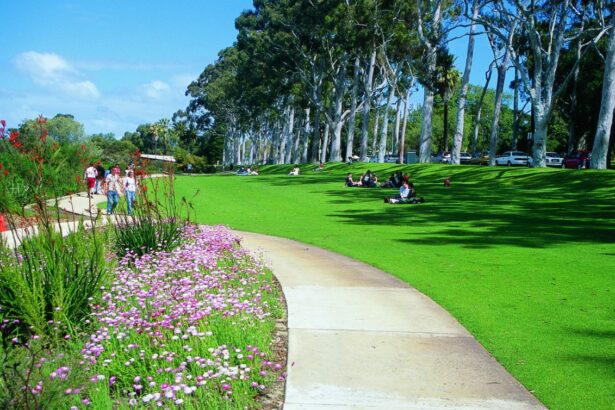 Парк Кингс-Парк в Перте &mdash; дух Австралии на холме