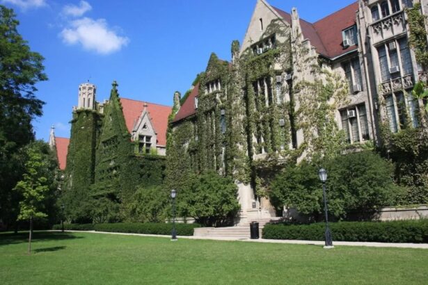 Чикагский университет