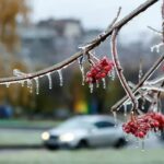 Погода во время ледяного дождя как защитить себя и имущество
