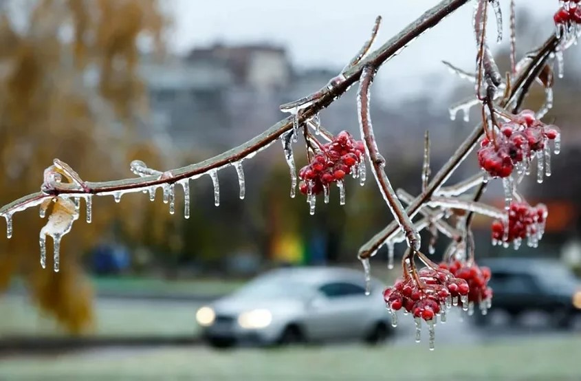 Погода во время ледяного дождя как защитить себя и имущество