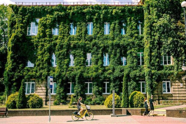 Архитектурное наследие XIX века в Гродно как отражение истории и культуры города