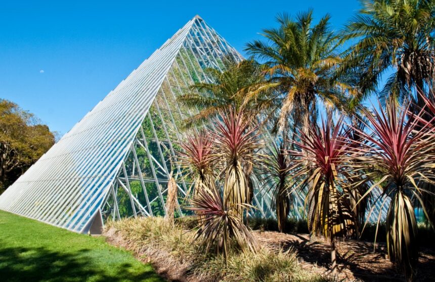 Ботанический сад в Сиднее