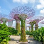 Цветочный рай Gardens by the Bay в Сингапуре
