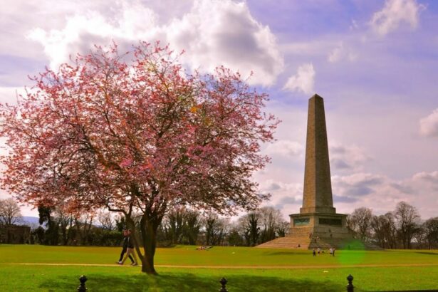 Парк Феникс в Дублине &mdash; самый большой в Европе