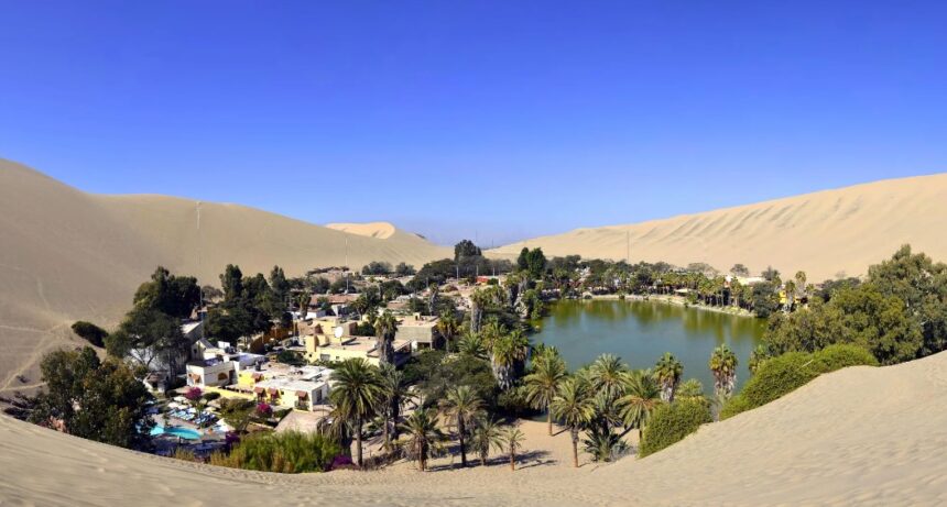 Погода в пустыне как возникают оазисы