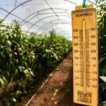 Погода в условиях высокой влажности почему так душно