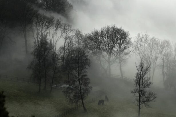 Погода в тумане как влияет на транспорт и здоровье