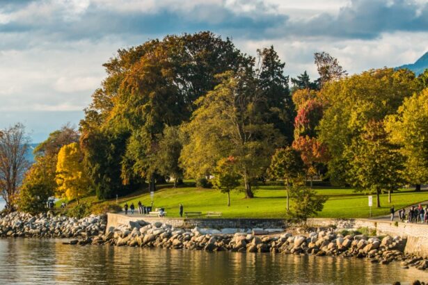 Зеленая мощь парка Станли в Ванкувере