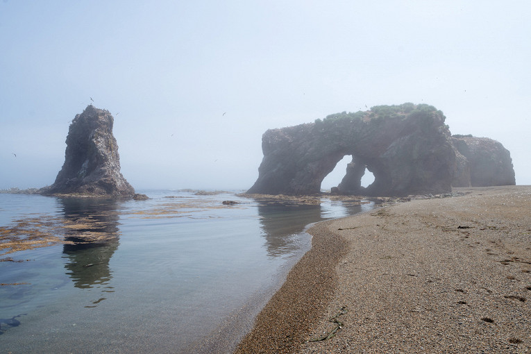 Флора и фауна