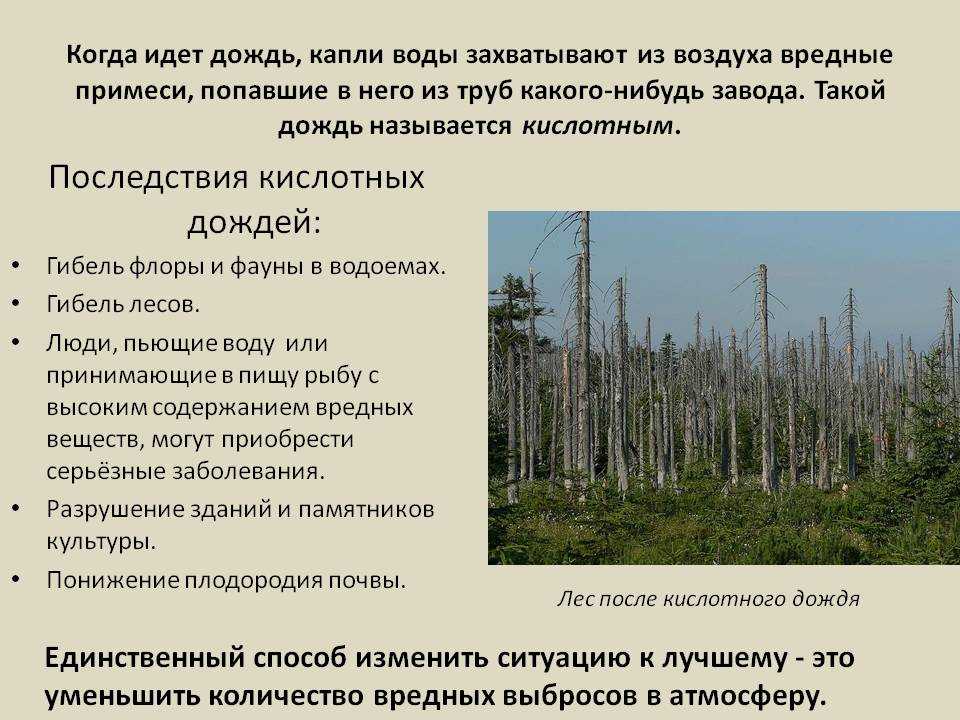 Национальные и международные инициативы