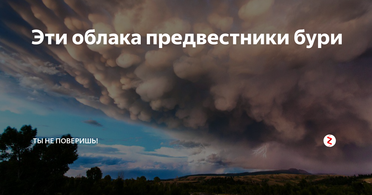 Регулярно проверяйте прогноз погоды