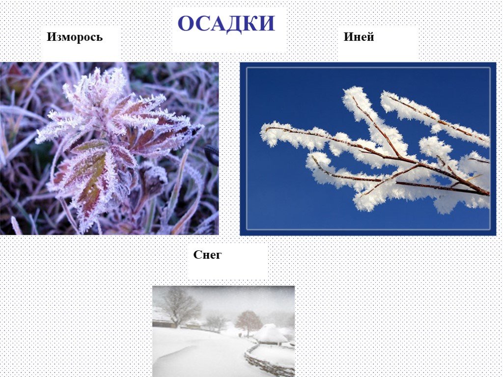 Используйте местные метеорологические данные