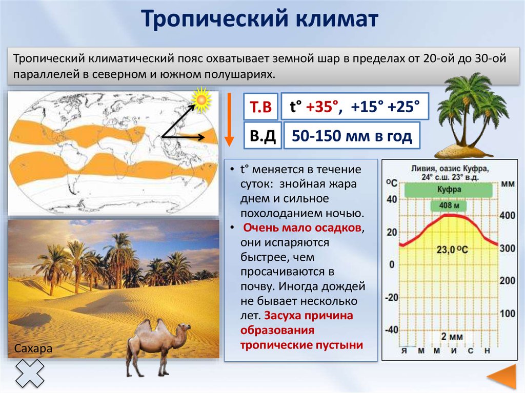 Туризм в тропиках: когда лучше планировать поездки?