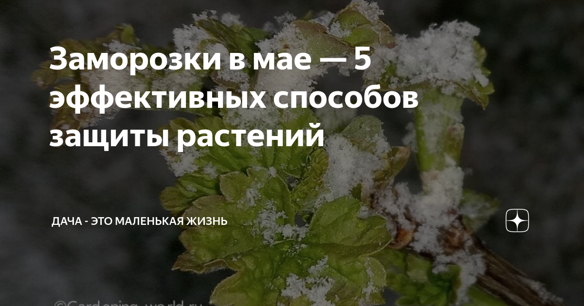 Эффект мульчирования на защиту от холода