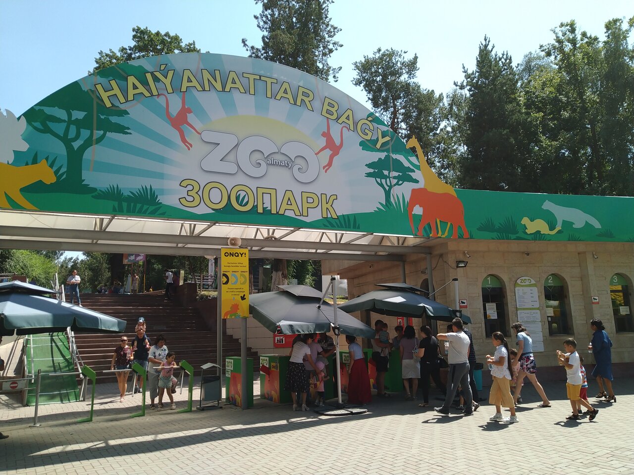 Забавный сафари-тур