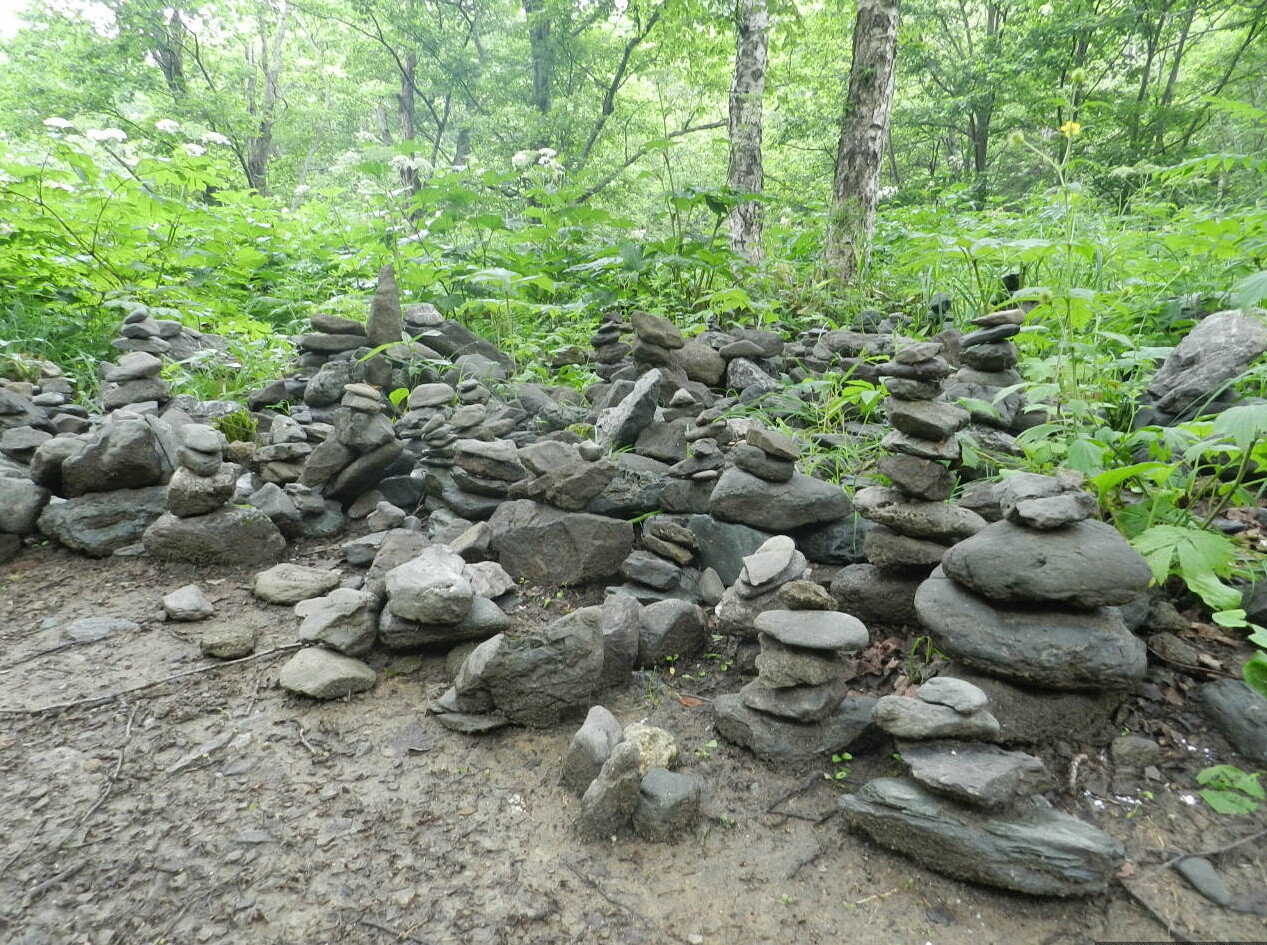 Повышение благополучия