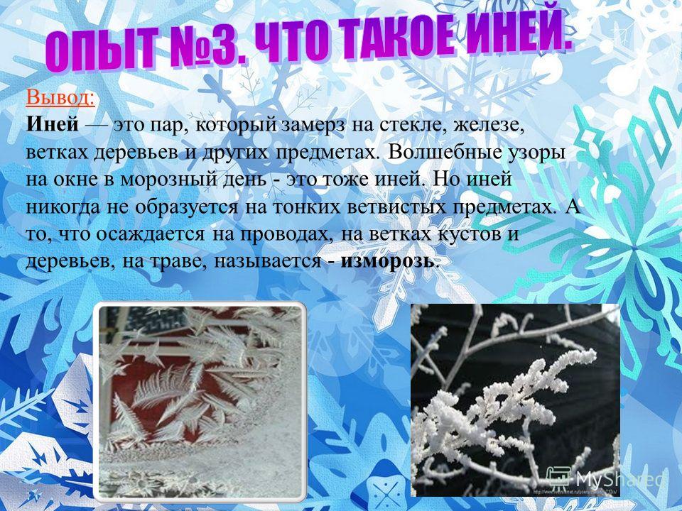 Устойчивость экосистем