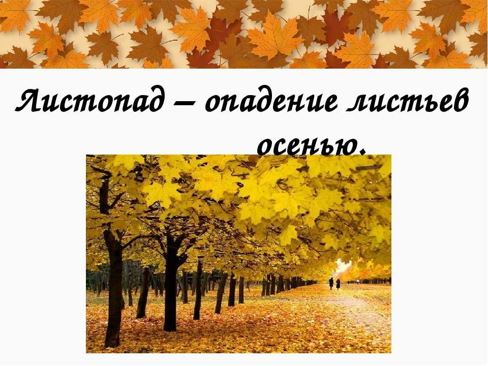Температура и её влияние
