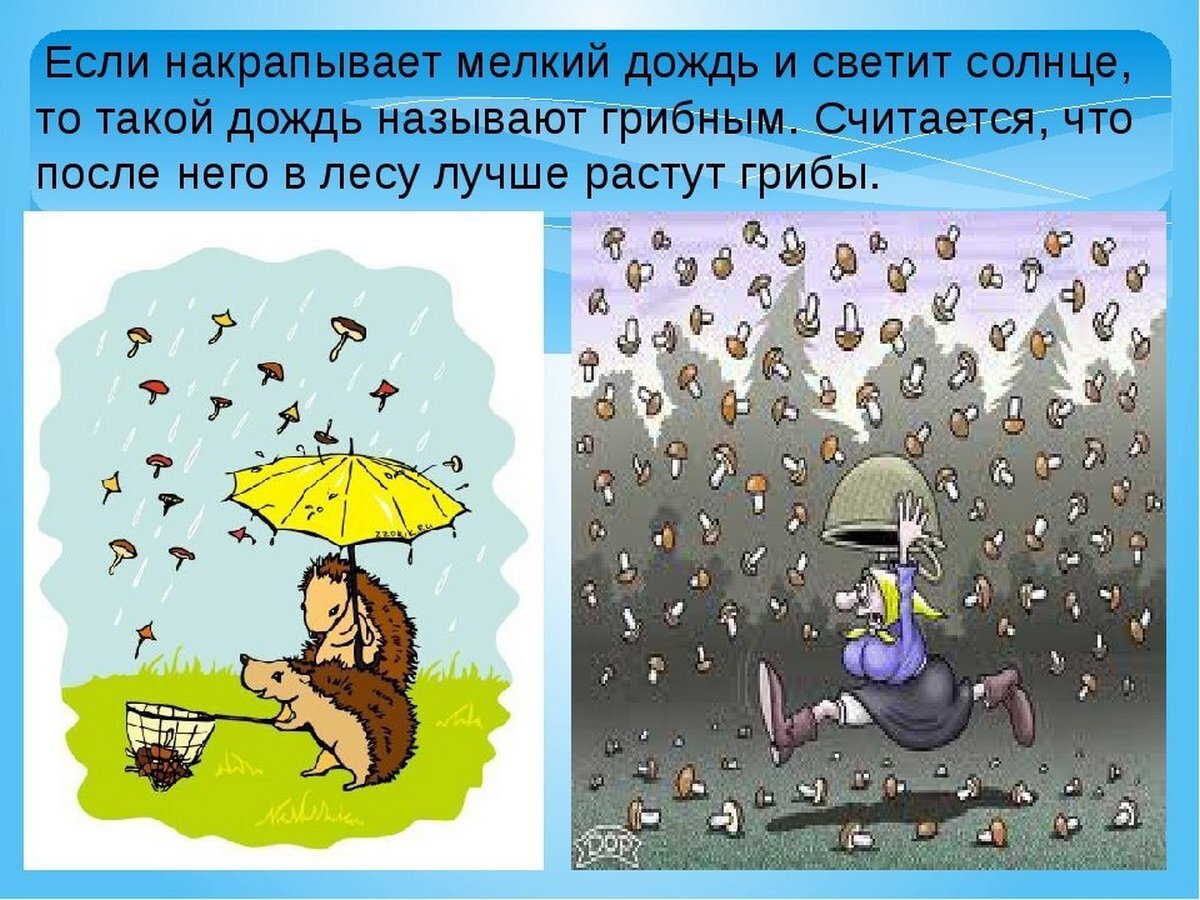 Сезонные колебания и их влияние на частоту осадков