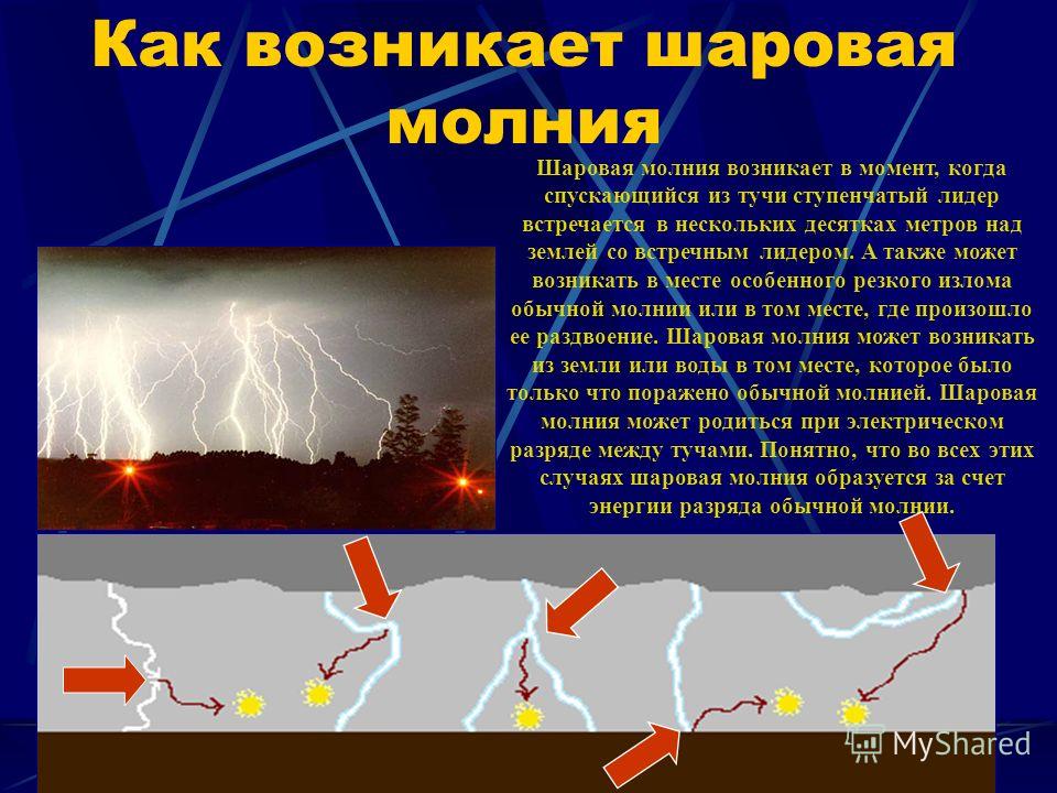 Движение и поведение