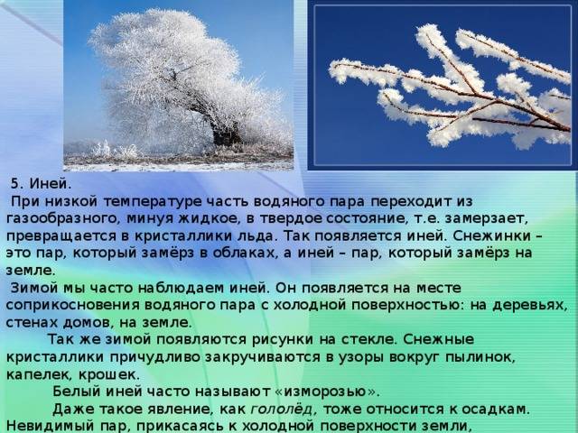 Влияние инея на экосистему и сельское хозяйство