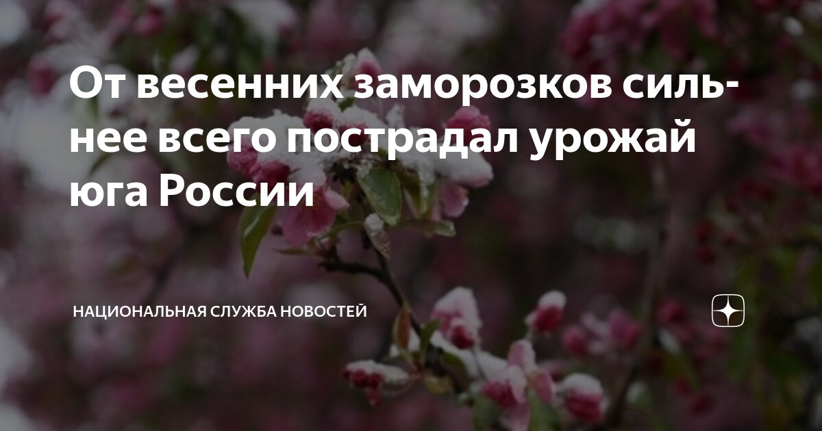 Как правильно поливать растения перед заморозками