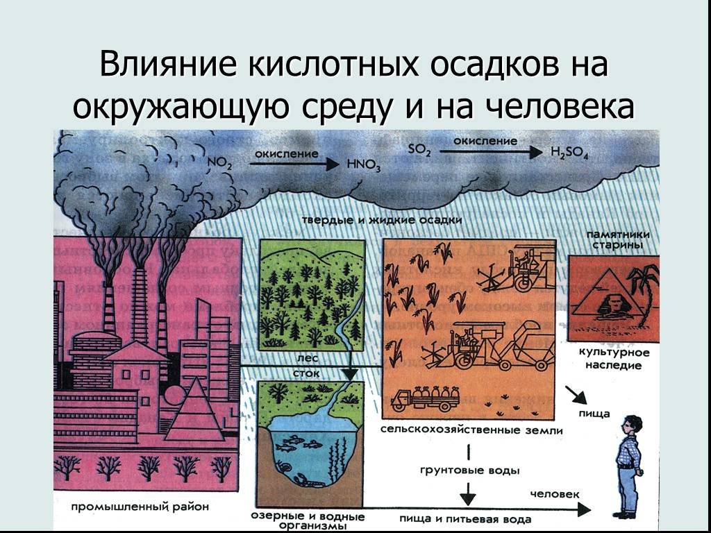 Влияние на биоту водоемов