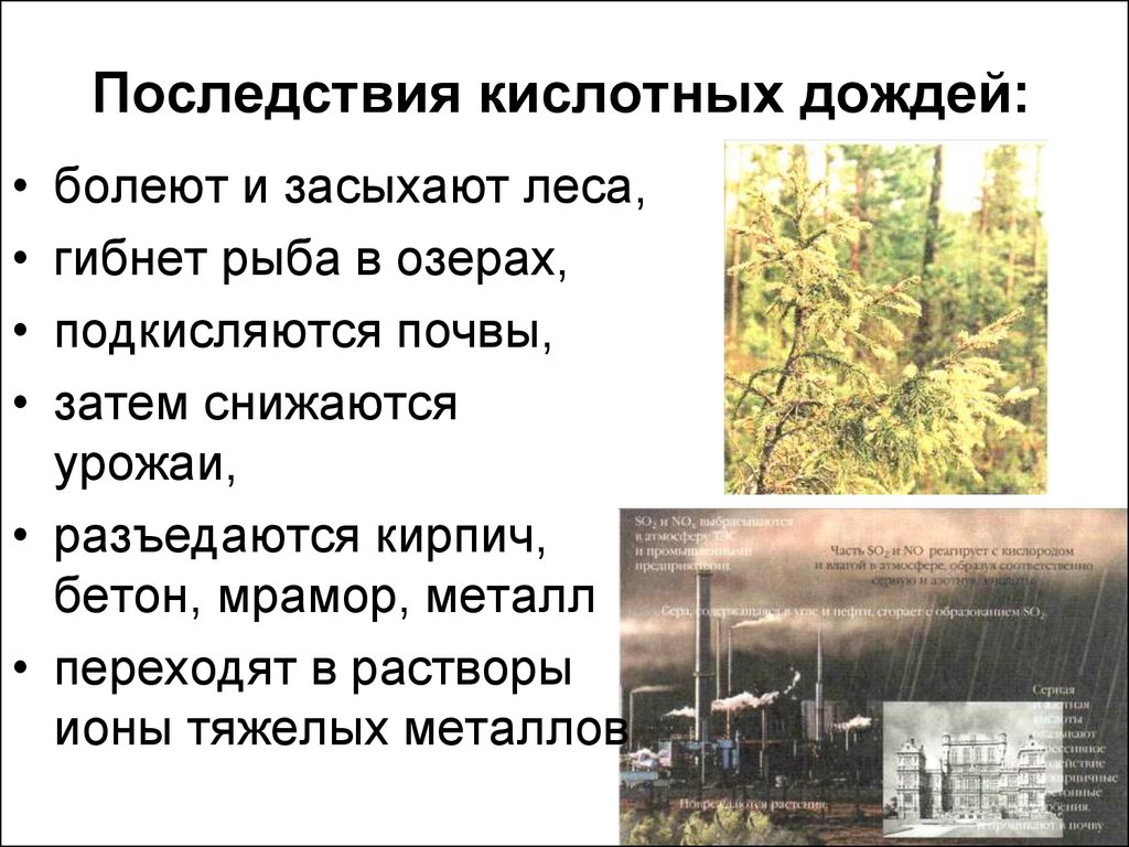 Образовательные инициативы