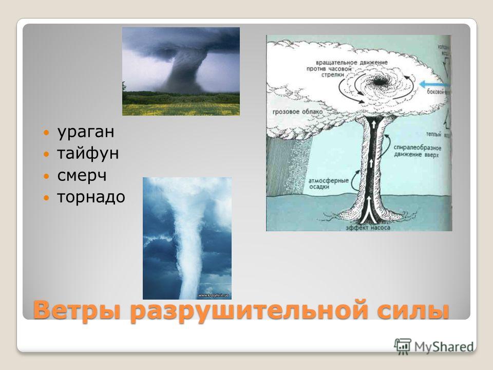 Метеорологические условия при тайфуне