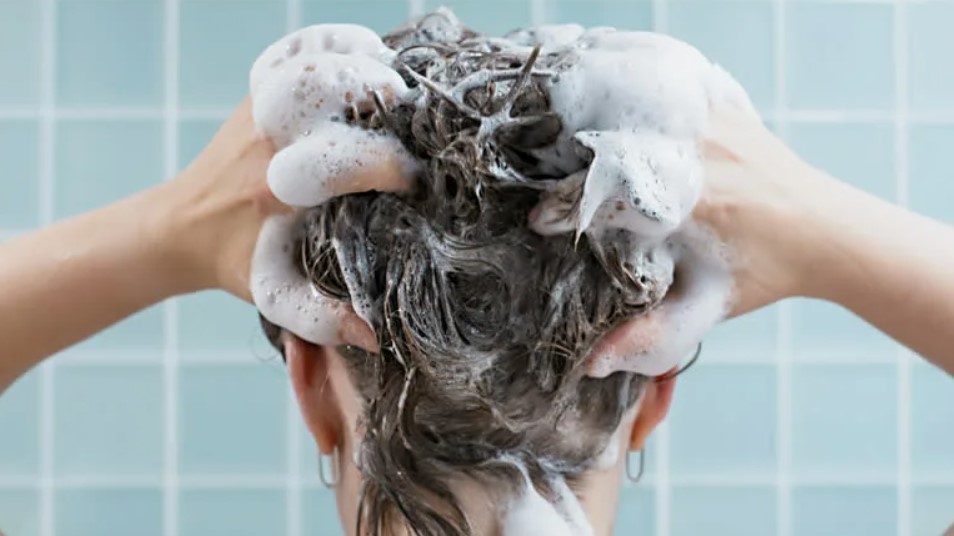 Профессиональные шампуни - как выбрать и чем отличаются от обычных средств